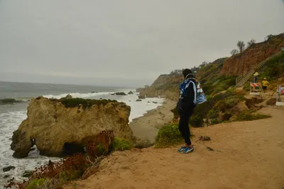 DSC_6547 (Large).JPG